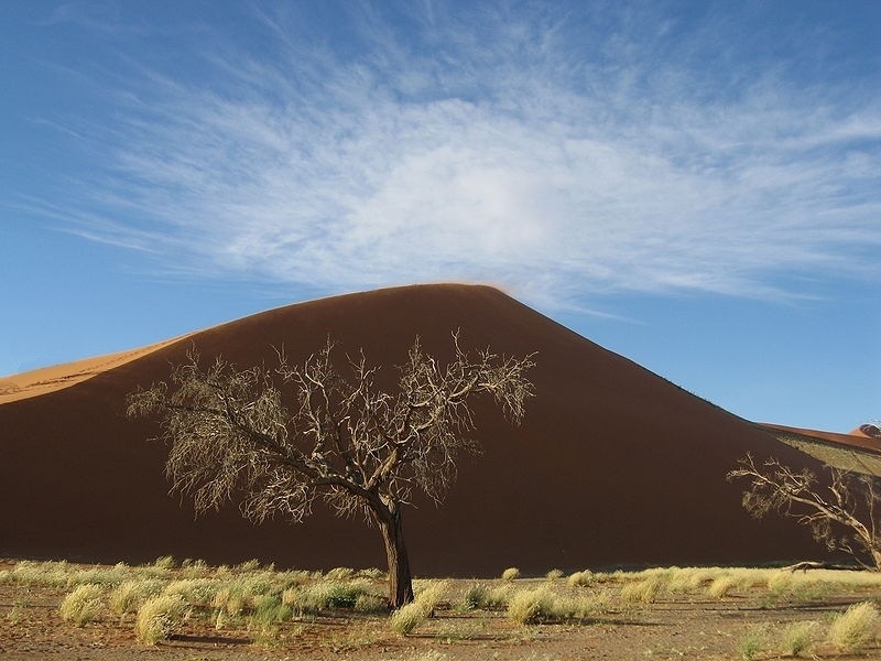 [Namib_Desert%255B3%255D.jpg]