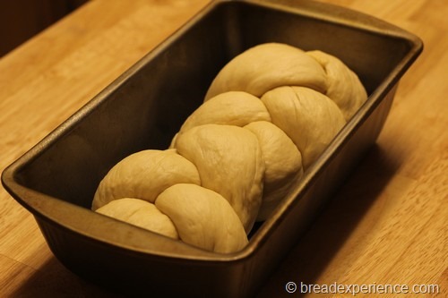 [italian-challah0014%255B7%255D.jpg]