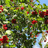 dsc01427.jpg dsc01427.jpg