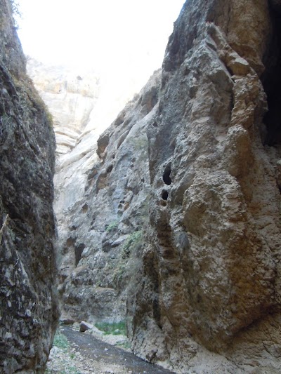 DSCN3987.jpg