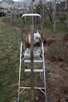 Shaun, I'll be happy to help you with this task.  Now that I'm up here, what do I do next?