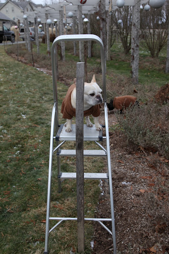 Shaun, I'll be happy to help you with this task.  Now that I'm up here, what do I do next?