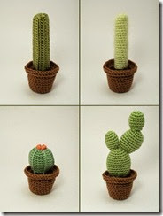 cactus 9