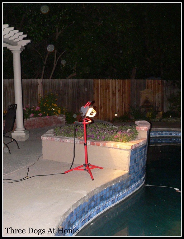 [pool%2520fix13.jpg]