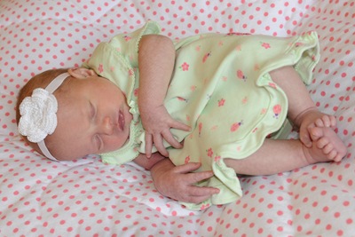 [DSC_7110%255B4%255D.jpg]