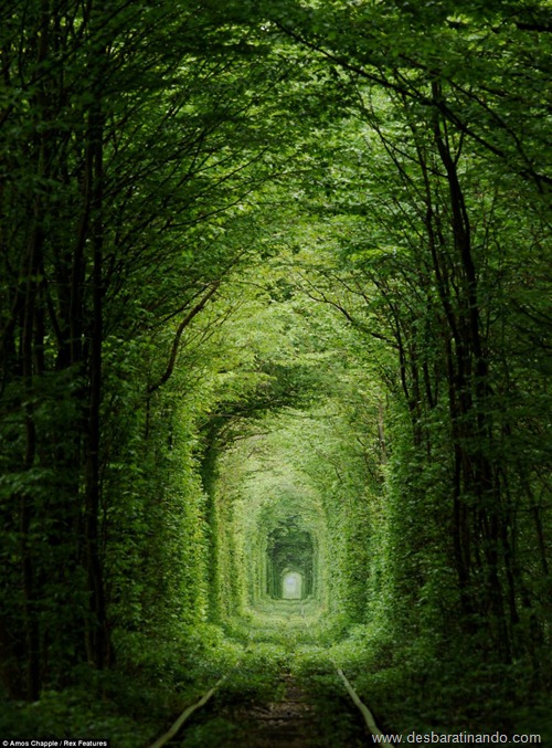 tunel do amor ucrania desbaratinando (2) tunel do amor ucrania desbaratinando (2)