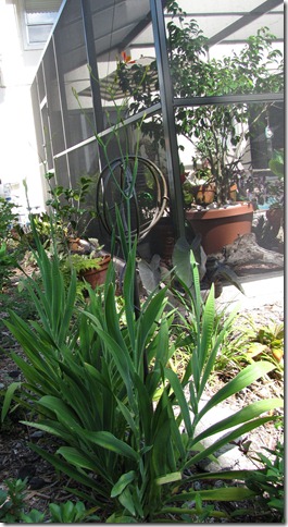 IMG_3969 IMG_3969