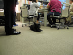 The ever-important meeting with the producers before the show - How do you like those blue shoes?