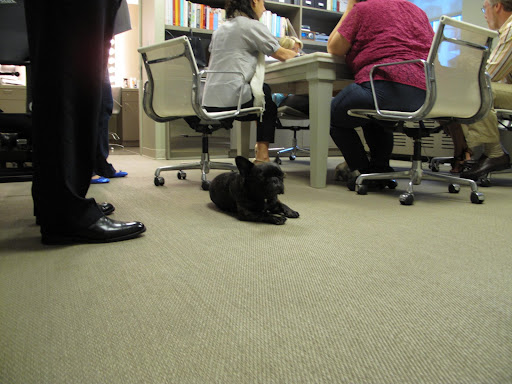 The ever-important meeting with the producers before the show - How do you like those blue shoes?