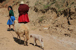 Qhapac ñan trek, Peru