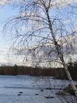 DSC02979.JPG