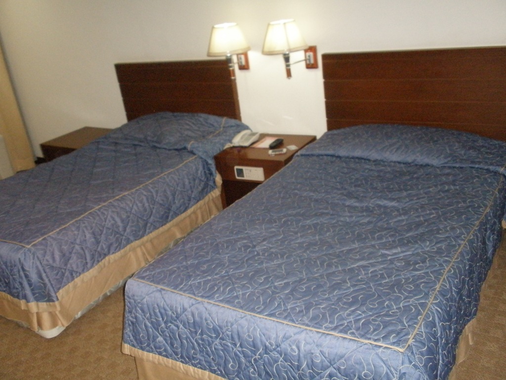 [P91402643.jpg]
