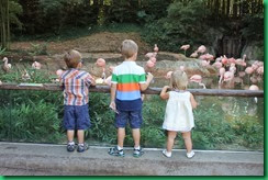 kids zoo