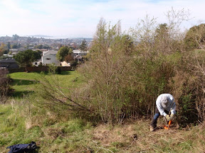 and grasslands with magnificent views. But grasslands and woodlands are badly invaded by fire-prone broom.