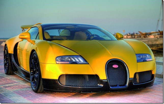 Bugatti-Veyron-Grand-Sport-13[2]