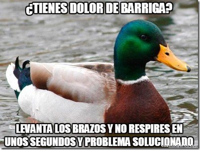 0 pato consejos cosasdivertidas info (8) 0 pato consejos cosasdivertidas info (8)