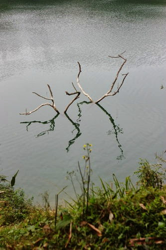 5ewEPusvCOilpAdb_NwZ3A 5ewEPusvCOilpAdb_NwZ3A