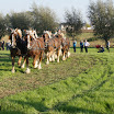 2009 475.jpg