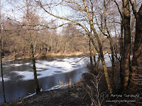 staw obok rz. Głównej