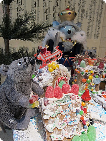 IMG_1513 IMG_1513