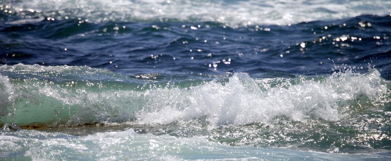 [1-DSC_0024%255B6%255D.jpg]