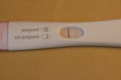 pregnant!! 009