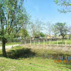 IMG_7211.JPG
