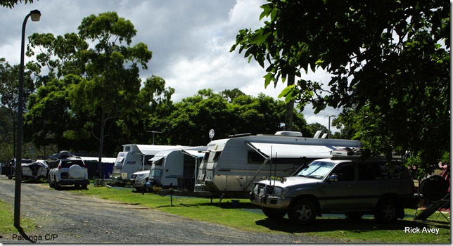 Still quite busy Patonga Beach