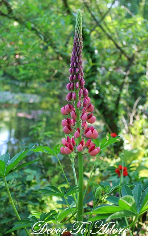 [Monet%2527s%2520Garden%2520088%255B3%255D.jpg]