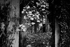 Nettleham-Hall-18