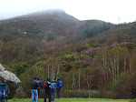 2008-04-21 A SEARA-COUREL 004.JPG