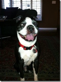 Winston2011B