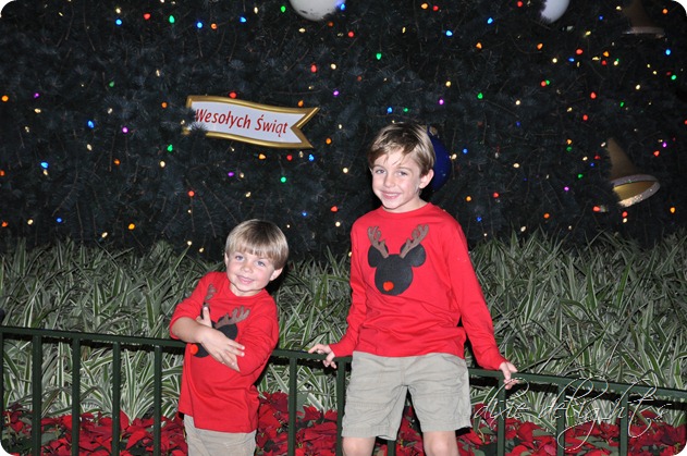 Disney December 2012 587 Disney December 2012 587