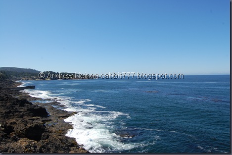 DSC_0955 DSC_0955