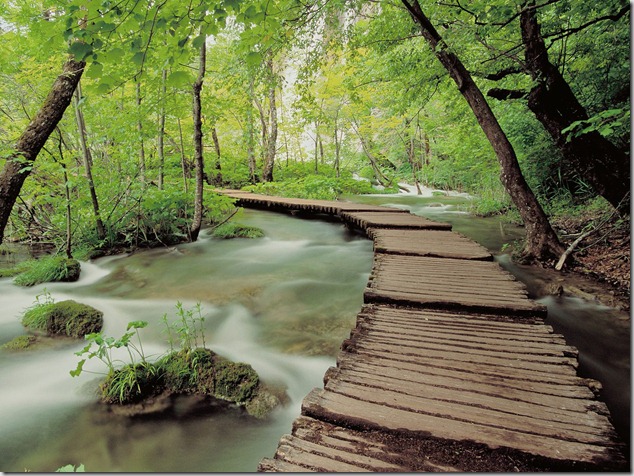 amazing-waterfalls-of-plitvice-lakes-in-croatia-12