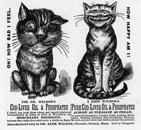 [Vintage-Cat-Advertisements-18%255B26%255D.jpg]