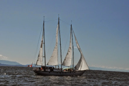 DSC_0323_2.jpg DSC 0323 2