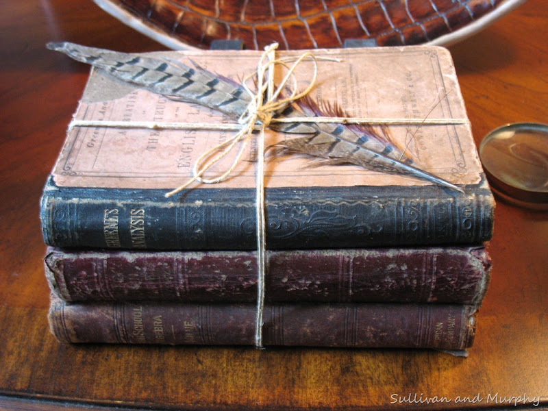 old books,feather