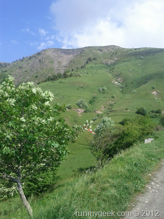 image image