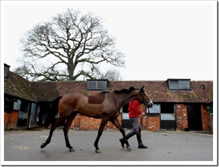 9 March Kauto Star at Ditcheat