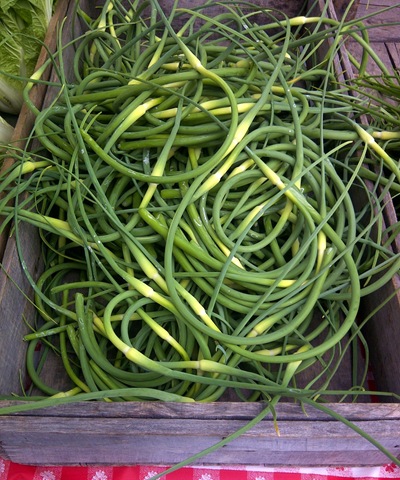 [garlic%2520scapes%252C%2520mead%2520orchard%252C%2520rhinebeck%2520farmers%2520market%255B11%255D.jpg]