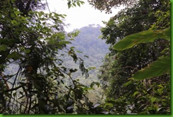 IMG_0026 IMG_0026