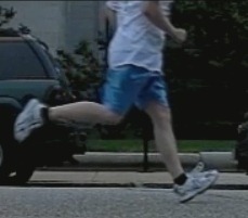 [White%2520Overstrider%255B2%255D.jpg]