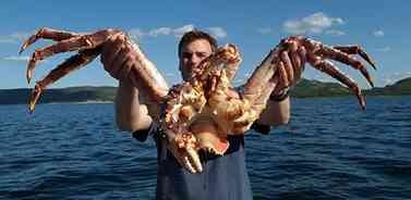 [largest-king-crab%255B2%255D.jpg]