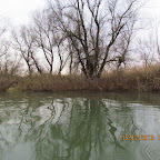 IMG_1339.JPG