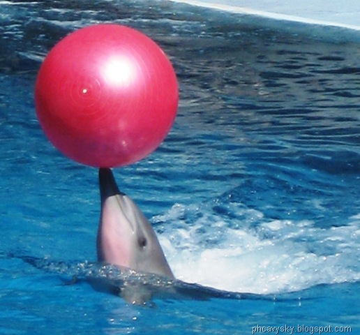 [IMG_4375%255B1%255D.jpg]