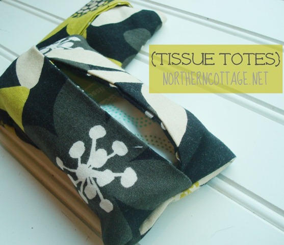 [diy-Tissue-Totes--NorthernCottage.ne%255B1%255D.jpg]