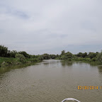 IMG_5219.JPG