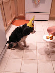 IMG_2269.JPG