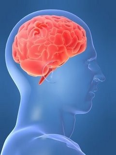 [OutsourcingIntellectualCapital%255B2%255D.jpg]